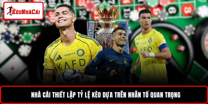 Nhà cái thiết lập tỷ lệ kèo dựa trên nhân tố quan trọng 